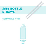 Replacement Straws 2-Pack (36oz Bottle)