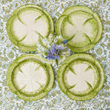 Capri Lettuce Starter Plate (Set of 4)