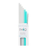 Clear + Aqua Reusable Straw Set